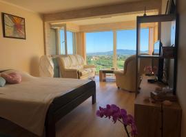 VILA POGLED, hotel u Arandjelovcu