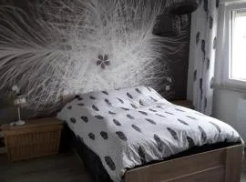 La chambre Plume
