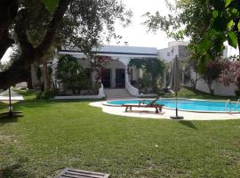 Villa POUR VACANCES JASMIN, отель с бассейном в Хаммамете