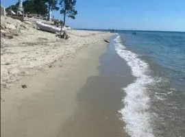 Les pieds dans l eau de Betty Ghisonaccia plage 50 m