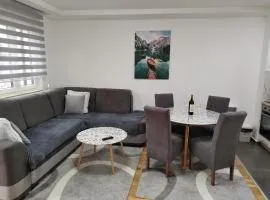 Vila Marija Zlatibor - Apartman 2