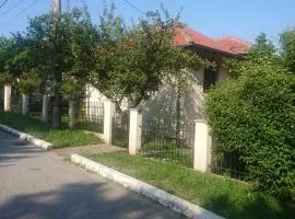 Kuca za odmor Cveta Despotovac