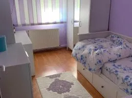 Apartament Onesti