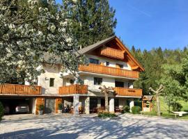 Vila Slavc, cosy apartment near the lake, hotel cerca de Baby Straza Ski Lift, Bled