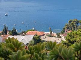 Apartment Buena Vista, hotel in Herceg-Novi