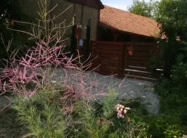 Ruralna kuća za odmor Pozojova hiža - Rural Holiday House