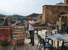 Au Château de Villelongue B&B, hotel com estacionamento em Villelongue-dʼAude