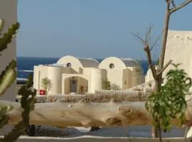 The Oasis
