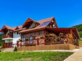 Pensiunea Balkan, hotel with pools in Gornea