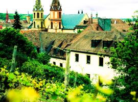 Youth Hostel Würzburg, albergue en Würzburg