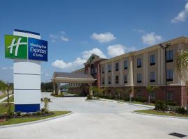Holiday Inn Express & Suites Deer Park by IHG, hotel v destinaci Deer Park