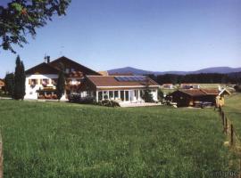 Hanneshof, hotel a Riedlhütte