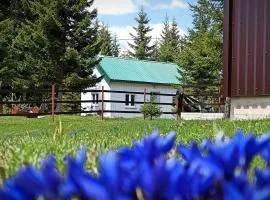 Edelweiss village apartment