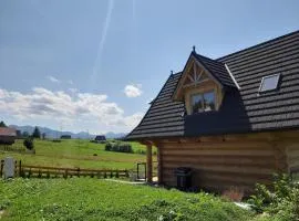 Góralski domek z bali SAŁAS