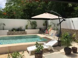 Estudio en “casa Livia” con piscina y jardín.