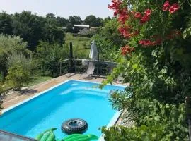 Le petit moulin
