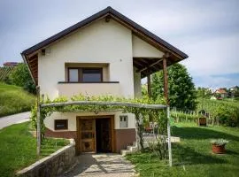 Holiday House Zlačka Gorca