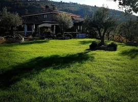 La Collina dei Goti Agriturismo ,Azienda Agricola