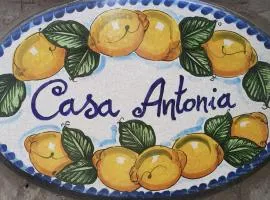 Casa Antonia