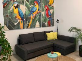 CASA PAPAGAYO, pet-friendly hotel in Santa Cruz de Tenerife