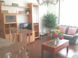 APARTAMENTO RIO AGÜERA DE GURIEZO, cerca de Castro Urdiales y Bilbao