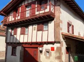 Agotxenea. Precioso apartamento rural en el Baztán