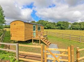 Jabba, The Hut, campsite in Winchester