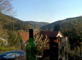 FeWo PacoHaus nähe Willingen Diemelsee, hotel in Brilon