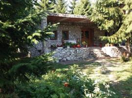 Guest house Hyrmet Demushi, guest house in Valbonë