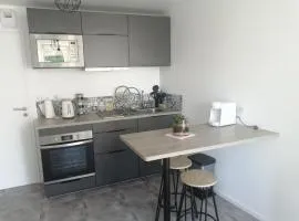 Appartement T2 indépendant avec terrasse et parking gratuit - Proche palais des congrès-Baie de Saint-Brieuc
