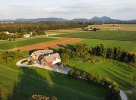Bed & Breakfast Na Poljani, bed & breakfast a Kranj