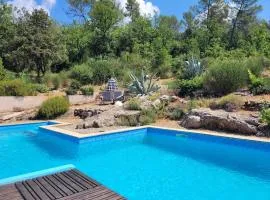 Villa Agave
