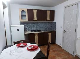 Studio Legend, hotel with parking in Pucioasa