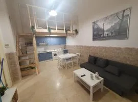 Triana 143 - WIFI