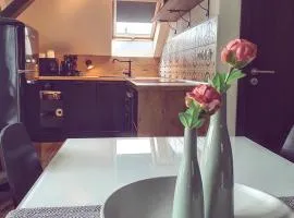 Apartmány Silvestr