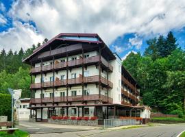 Natur- und Wanderhotel am Steinbachtal, hotell i Bad Koetzting