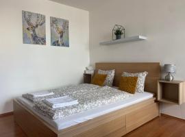 SATYS Apartments, hôtel à Ostrava