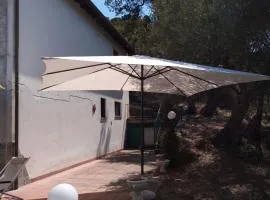 L'Antica Quercia B&B
