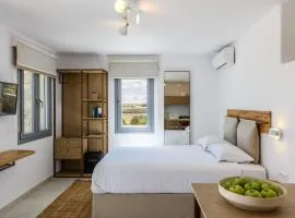 Landi House Mykonos