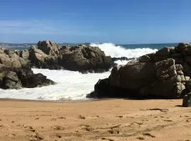 Cabañas en Algarrobo Norte