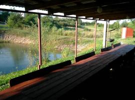 Barbecue House, villa in Vinnytsya