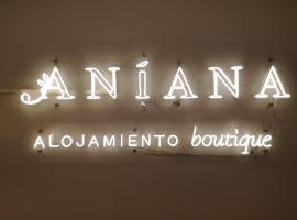 Aniana Alojamiento Boutique, guest house in Logroño