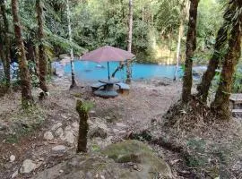 Cabinas Piuri