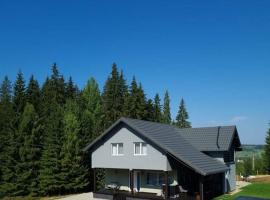 Cabana Brazilor, ski resort in Vatra Dornei