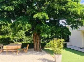 MAGNANERIE LEONY : Maison au calme avec jardin