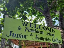 Junior & Nemesia's Cottages, hotel v destinaci Baclayon