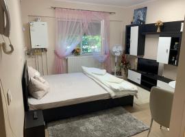 Studio Gaby, holiday rental in Satu Mare