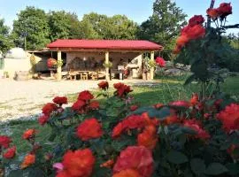 VILLA SALVIA - Holiday house with pool -