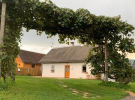 Grandma's House, cabaña o casa de campo en Radlje ob Dravi