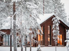 Raanakka House - Premium Villa at Levi，位于列维的酒店
